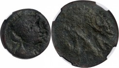 PTOLEMAIC EGYPT. Kleopatra VII Thea, 51-30 B.C. AE Diobol (80 Drachmai) (18.58 gms), Alexandreia Mint. NGC G, Strike: 4/5 Surface: 4/5.
Svor-1871; SN...