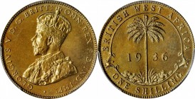 BRITISH WEST AFRICA. Shilling, 1936-KN. Kings Norton Mint. PCGS SPECIMEN-67 Gold Shield.
KM-12a. A fully lustrous shilling with no trace of toning. T...