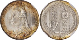 GREAT BRITAIN. Shilling, 1891. London Mint. Victoria. NGC MS-64.
S-3927; KM-774. A boldly struck Shilling with full, frosty luster and gorgeous perip...