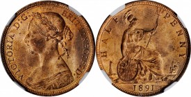 GREAT BRITAIN. 1/2 Penny, 1891. Victoria. NGC MS-64 Red Brown.
S-3956; KM-754. Much more red than brown, a few freckles on the reverse.
Estimate: $5...