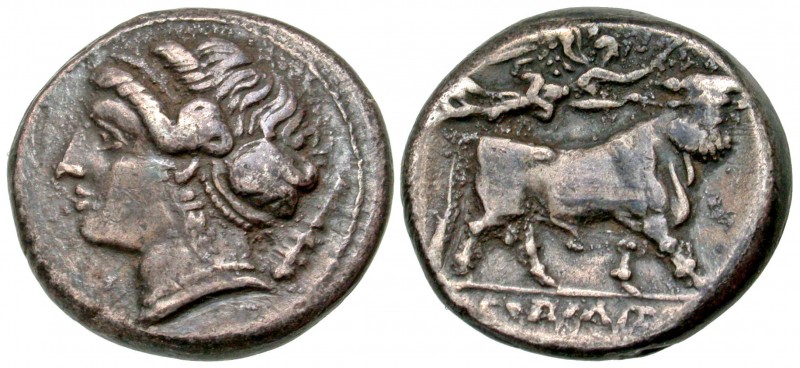 Campania, Neapolis. Ca. 325-241 B.C. AR didrachm (19.8 mm, 7.01 g, 7 h). Head of...