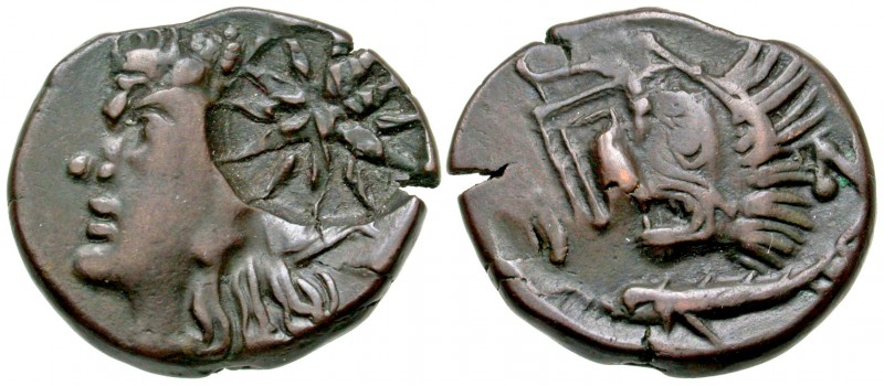 Tauric Chersonesos, Pantikapaion. Ca. 310-304 B.C. AE 22 (22.0 mm, 6.20 g, 12 h)...