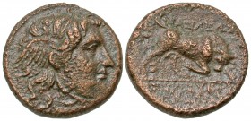 Seleukid Kingdom. Seleukos I Nikator. 312-281 B.C. AE 14. Sardes mint.