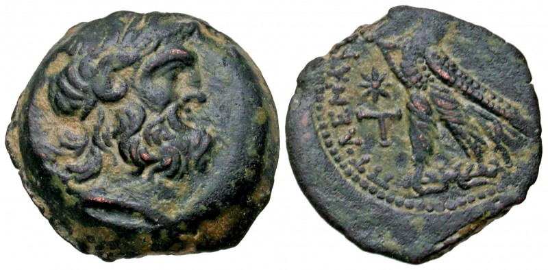 Ptolemaic Kingdom. Ptolemy IX Soter II (Lathyros). 116-106 B.C. AE 24 (24.1 mm, ...