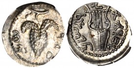 Judaea. Bar Kochba Revolt. 132-135 C.E. AR zuz. Jerusalem mint, Attributed to Year 3 (134/5 C.E.). NGC certified MS. From the Solomon Collection.