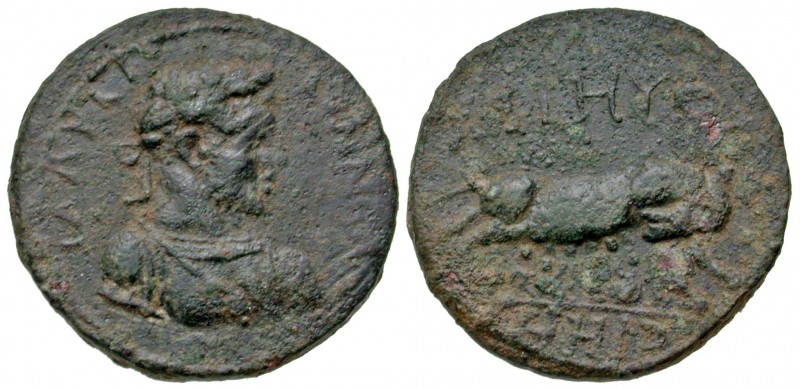 Mysia, Parium. Gallienus. A.D. 253-268. AE 28 (28.2 mm, 13.02 g, 7 h). IAΛPTΩ - ...