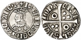 Jaume II (1291-1327). Barcelona. Croat. (Cru.V.S. falta) (Cru.C.G. 2156). 3,04 g. Flores de cinco pétalos en el vestido. Buen ejemplar. MBC+.