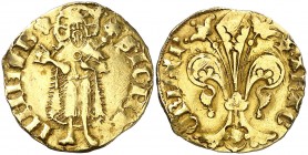Pere III (1336-1387). Barcelona. Florí. (Cru.V.S. 389) (Cru.C.G. 2210). 3,45 g. Marca: rosa de puntos. Golpecito. MBC.