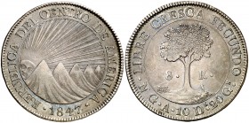 1847/6. Centro América. Guatemala.. 8 reales. (Kr. 4). 26,80 g. AG. Bella. Pátina irisada. Parte de brillo original. Rara así. EBC.