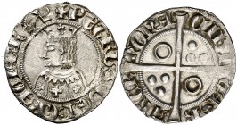 Pere III (1336-1387). Barcelona. Croat. (Cru.V.S. 408) (Cru.C.G. 2223m). 3,25 g. Flores de cinco pétalos y cruz en el vestido. Letras T góticas. Bella...