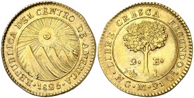 1825. Centro América. Guatemala. M. 2 escudos. (Fr. 30) (Kr. 5). 6,72 g. AU. Insignificantes hojitas. Bella. Brillo original. Rara y más así. S/C-.