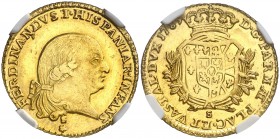 1789. Italia. Fernando I, Infante de España. Parma. S. 1 doppia. (Fr. 930) (Vti. 123) (Kr. 18a) (MIR. 1064/5). AU. En cápsula de la NGC como MS62, nº ...