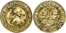 1789. Carlos IV. Buenos Aires. Medalla de Proclamación. (Ha. 121, la publica sólo en plata fundida) (VQ. 13170, en plata fundida) (Medina 130, en plat...