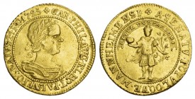 DEUTSCHE GOLDMÜNZEN UND -MEDAILLEN
PFALZ. PFALZ, KURFÜRSTENTUM. Karl Philipp, 1716-1742. Dukat 1725, Heidelberg, auf die Geburt des Prinzen Karl Phili...