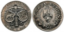Wangen a / A 1896 Ehr und Freischiessen Sektionswettschiessen Silber 38mm 25g Ri: 233a unzirkuliert