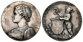 Bern 1899 Zentralschiessen Silber Ri: 239b selten 13,4g vz