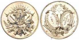 Genf 1883 Schützenmedaille Silber Nur 100 esemplare geprägtm Ri: 625a 31,1g vorzüglich