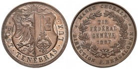 Genf 1887 Tir Federal Bronce 37mm Ri: 631c unzirkuliert