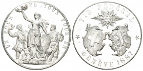 Genf 1887 Tir Federal WM 40 mm Ri: 637c bis unzirkuliert