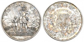 Genf 1887 Tir Federal Silber 15,2g 33mm Richter 641a FDC sehr selten