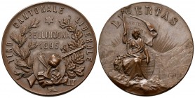 Bellinzona 1895 Tir Cantonale Kupfer 45mm Ri: 1406c FDC