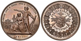 Winterthur 1877 Freischiessen Kupfer Medaille Ri: 1739c FDC