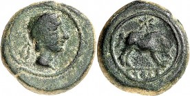 SPANIEN. 
HISPANIA CITERIOR. 
KASTILO / CASTULO (Cazlona). AE-Quadrans 17mm (133/116 v.Chr.) 3,72g. Jüng- lingskopf mit Taenie n.r. / Wildeber steht...