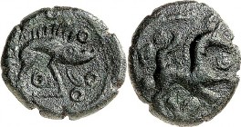 GALLIEN. 
AMBIANI (um Amiens). 
anonym (60-25 v. Chr.). AE-Quadrans 15mm 2,25g. Eber n. r., darunter Kreise / Pferd n.r. zw. Punkten und Kreisen, da...