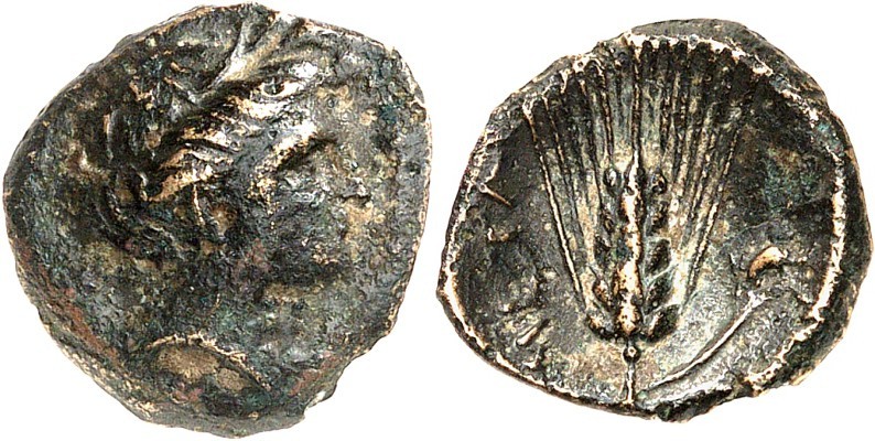 ITALIEN. 
LUKANIEN. 
METAPONTION (Metaponto). AE-Tetras 14mm (300/150 v.Chr.) ...
