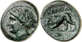 THRAKIEN. 
STÄDTE. 
KARDIA. AE-Tetrachalkus 20/21mm (um 350-309 v.Chr.) 8,63g. Kopf der Demeter n.l. / KAR-DIA über Löwe n.l. schreitend, im Abschni...