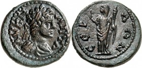 THRAKIEN. 
SERDIKE (Sofia). 
Caracalla, Augustus 198-217. AE-18mm (um 208/212) 4,15g. Belorb. Büste mit Paludamentum n. r. AY K M ANT W / CEP DWN De...