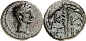 MYSIEN. 
KYZIKOS (Erdek). 
Augustus 27 v. Chr. -14 n. Chr. AE-16mm 3,39g. Kopf n.r. / KY - ZI Fackel im Blätterrand. RPC. 2255, SNG.Paris 621. . 
...