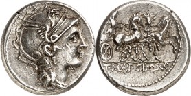RÖMISCHE REPUBLIK : Silbermünzen. 
Quintus Marcius, Gaius Fabius & Lucius Roscius 118-117 v. Chr. Denar 3,83g Rom. Kopf der Roma mit Flügelhelm n. r....