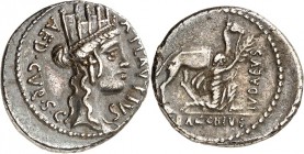RÖMISCHE REPUBLIK : Silbermünzen. 
Gnaeius Plancius, curul. Aedilis 55 v. Chr. Denar 3,85g. Cybelekopf n.r. A PLAVTIVS - AED CVR S C / BACCHIVS - IVD...