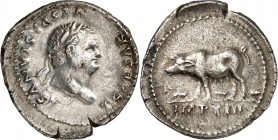 RÖMISCHES KAISERREICH. 
Titus, Caesar z.Z. Vespasianus 69-79. Denar (77/79) 3,28g, Rom. Kopf mit Lorbeerkranz n.r. T CAESAR - VESPASIANVS / Sau schre...