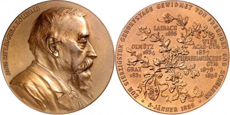 EUROPA. 
ÖSTERREICH - STÄDTE. 
WIEN. Medaille 1899 (v. A.Scharff) MÖLLWALD, Dr...