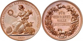 DEUTSCHE STÄDTE. 
Alphabetisch. 
WUPPERTAL. Medaille 1899 (v.G.Loos) Preuss. landwirtschaftl. Verdienstmedaille mit geprägter Us. Lokalabt. Elberfel...