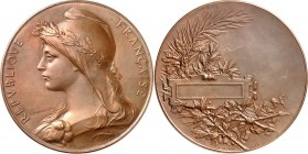 MEDAILLEURE des XIX. bis XXI. Jh.. 
FRANKREICH. 
ROTY, Louis Oscar *1846 Paris +1911 ebd. Prämienmedaille o.J. (1896) Belorb. Brb. d. Gallia mit Fre...