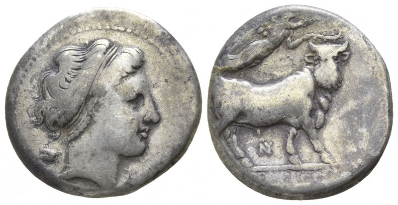 Campania. Neapolis circa 320-300 BC.
Didrachm AR

20mm., 7,13g.

Head of th...