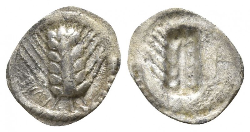 Lucania. Metapontion circa 530-510 BC.
Hemiobol AR

10mm., 0,19g.

Ear of b...