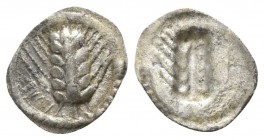 Lucania. Metapontion circa 530-510 BC. Hemiobol AR