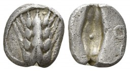 Lucania. Metapontion 510-460 BC. Obol AR