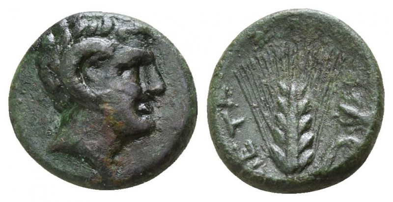 Lucania. Metapontion 300-250 BC.
Bronze Æ

11mm., 1,38g.

Head of Apollo Ka...