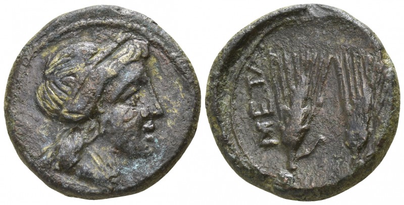 Lucania. Metapontion circa 225-200 BC.
Bronze Æ

17mm., 4,56g.

Head of Dem...