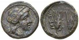 Lucania. Metapontion circa 225-200 BC. Bronze Æ