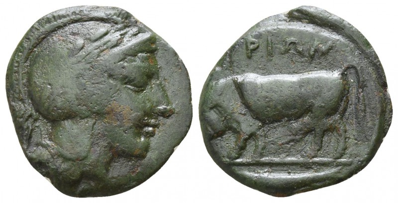 Lucania. Thurii circa 350 BC.
Bronze Æ

18mm., 3,21g.

Head of Athena to ri...