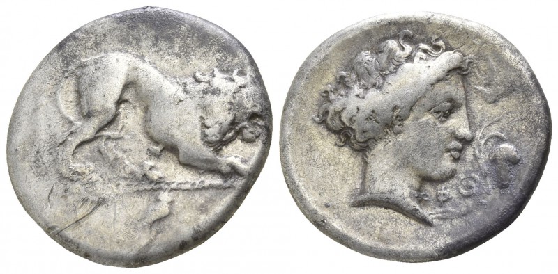 Lucania. Velia circa 400-340 BC.
Didrachm AR

22mm., 7,33g.

Lion crouching...