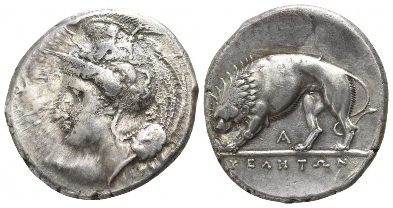 Lucania. Velia circa 350-310 BC.
Didrachm AR

22mm., 7,49g.

Head of Athena...