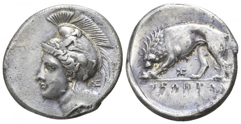 Lucania. Velia 334-300 BC.
Didrachm AR

22mm., 7,35g.

Head of Athena to le...