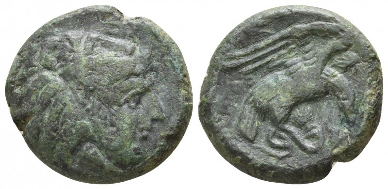 Bruttium. Kroton circa 333-331 BC.
Bronze Æ

19mm., 7,58g.

Head of Herakle...